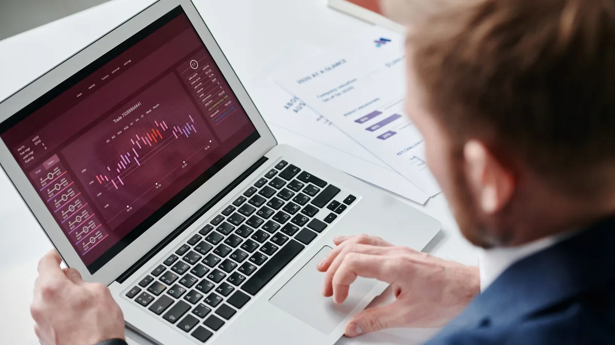 Dizüstü bilgisayardaki grafik ekranını inceleyen kişi