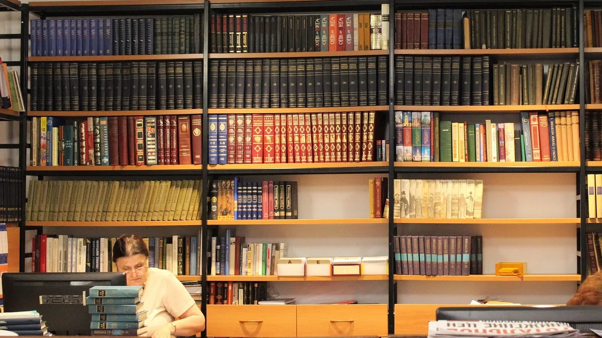 Bir kütüphanede sıralanmış kitap rafları
